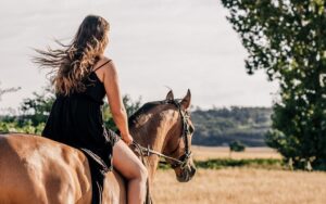 Cabalgata Rumbera